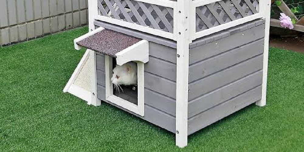 Is it okay for cats to live in an outside cat house?